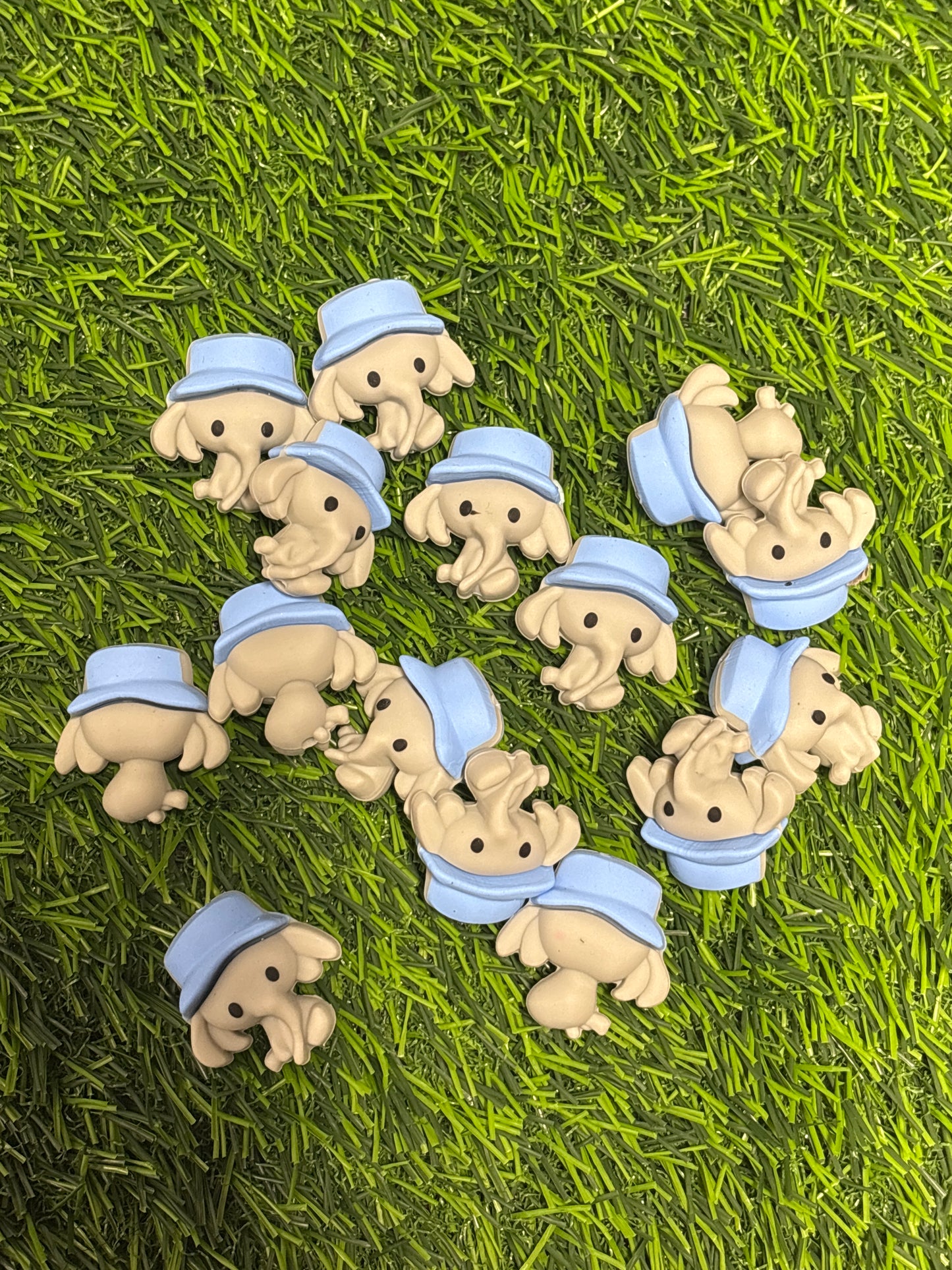 3d elephant focal