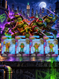 Teenage mutant ninja turtles figurines set of 4