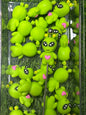 Alien focal #52