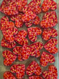 Red hearts acrylic focal #220