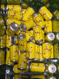 Pokémon soda charm can #16