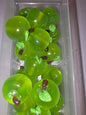 Green Apple acrylic  bead #134)