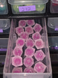 Clear pink square  16mm acrylic bead #220